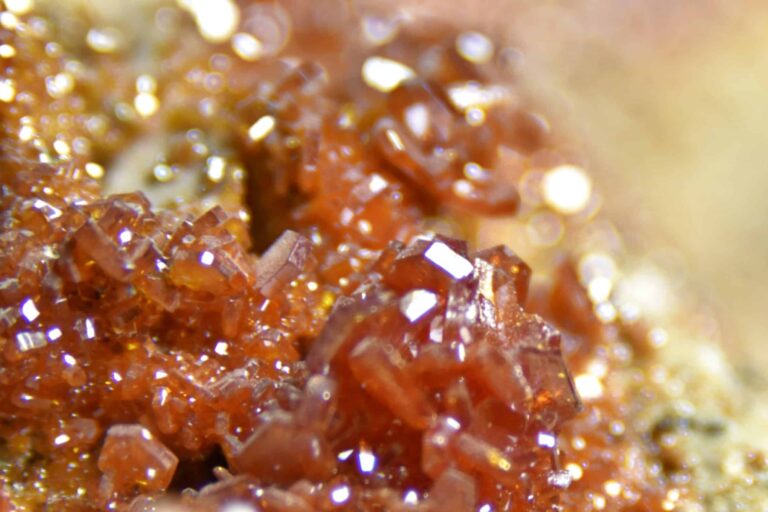 Picsart_23-02-04_17-31-38-496